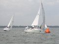 IMG 3775