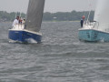 IMG 3786