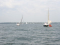 IMG 3799