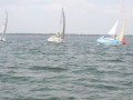 IMG 3811