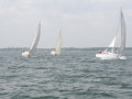 IMG 3812