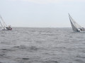 IMG 3828