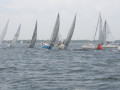 IMG 3833