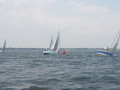 IMG 3838