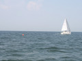 IMG 3851