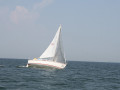 IMG 3852