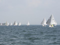 IMG 3861