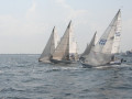 IMG 3868