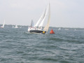 IMG 3881