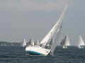 IMG 3896