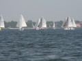 IMG 3898