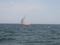 IMG 3908