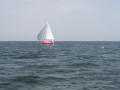 IMG 3909