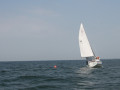 IMG 3916