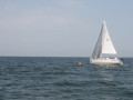 IMG 3917