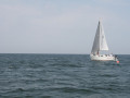 IMG 3918