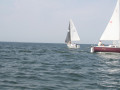 IMG 3919