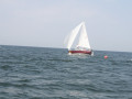 IMG 3922