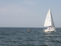 IMG 3923