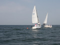 IMG 3924
