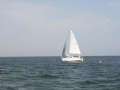 IMG 3935