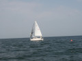 IMG 3936