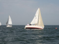 IMG 3938