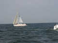 IMG 3941