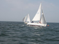IMG 3950
