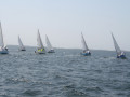 IMG 3985
