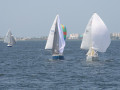 IMG 3995