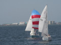 IMG 4008