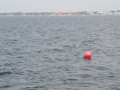 IMG 4011