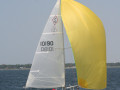IMG 4026