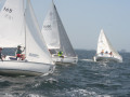 IMG 4068