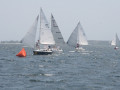 IMG 4078