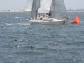 IMG 4084