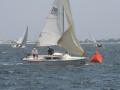 IMG 4091