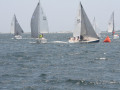 IMG 4102