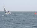 IMG 4106