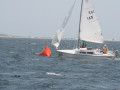 IMG 4108