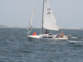 IMG 4109