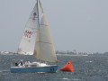 IMG 4110