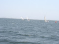 IMG 4112
