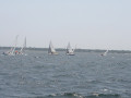 IMG 4113