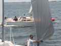 IMG 4122