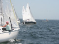 IMG 4131