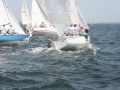 IMG 4135