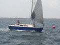 IMG 4136