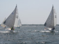 IMG 4137
